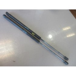 Verin De Coffre Peugeot 1007 (1)