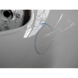 Porte Avant Gauche Renault Clio 4 Phase 1 (3)