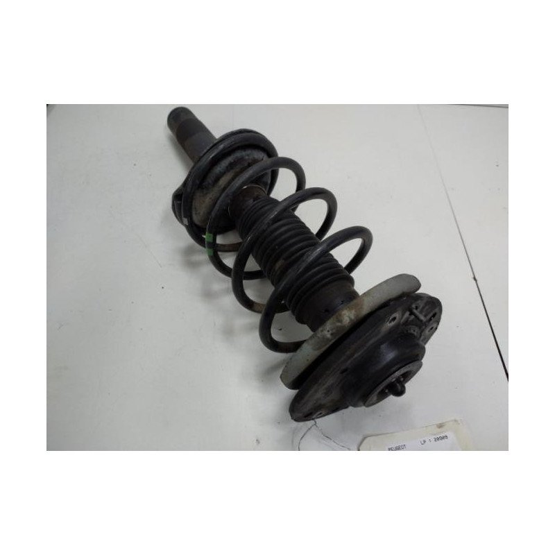 Amortisseur Avant Droit Peugeot 206+ (1)