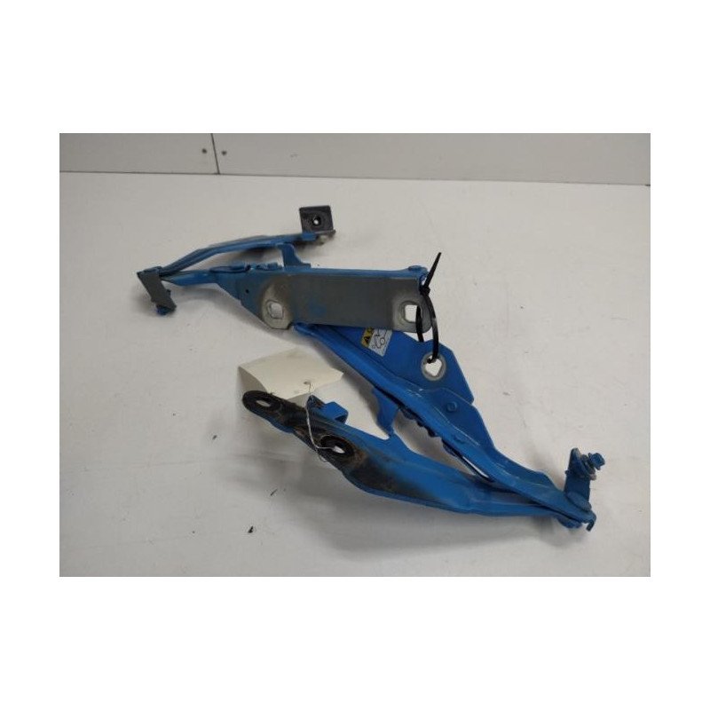 Charniere De Capot Ford Mustang 7 Coupe (1)
