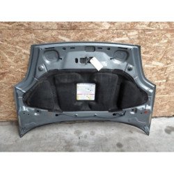 Capot Fiat Grande Punto (5)