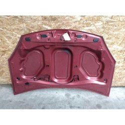 Capot Dacia Sandero 1 (3)