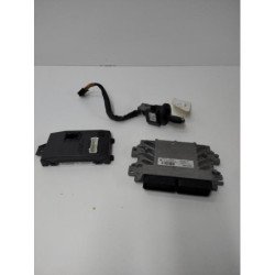 Kit De Demarrage Dacia Sandero 1 (1)