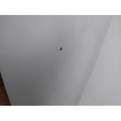 Capot Peugeot Partner 1 Phase 1 (2)