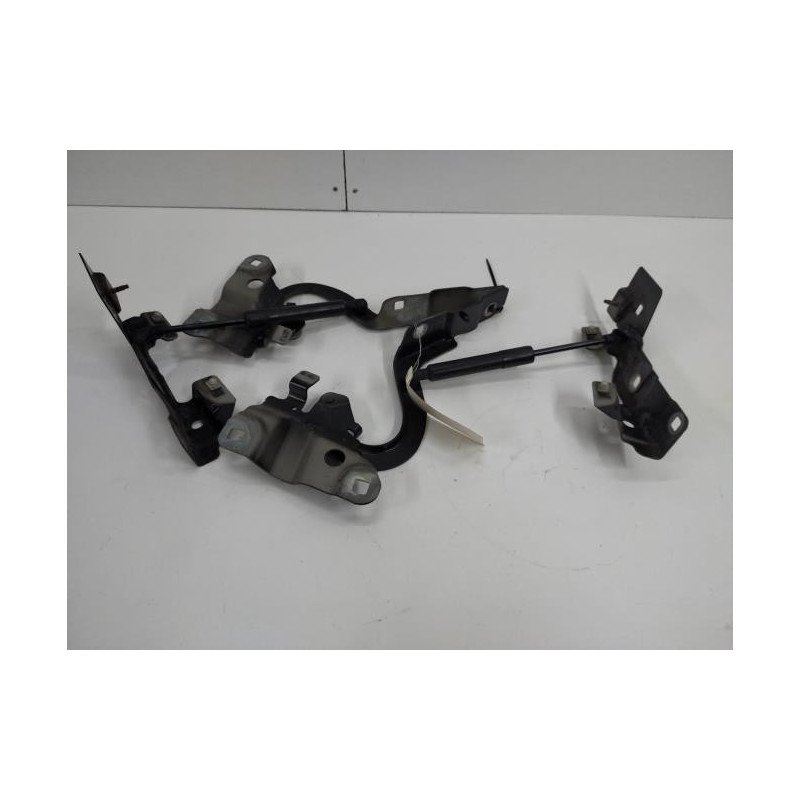 Charniere De Capot Renault Zoe 1 (1)