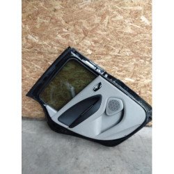 Porte Arriere Gauche Renault Zoe 1 (4)