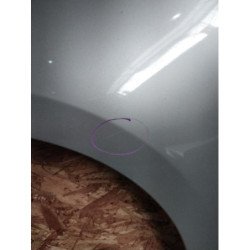 Aile Avant Gauche Renault Scenic 3 Phase 1 (3)