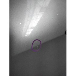 Porte Arriere Gauche Renault Scenic 3 Phase 1 (3)