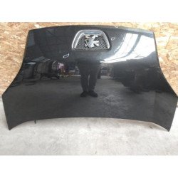 Capot Peugeot Bipper (1)