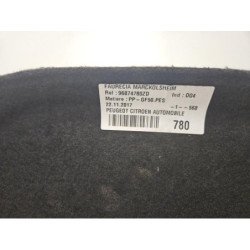 Plage Arriere Citroen C4 2 Phase 2 (3)