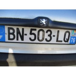 Neiman Peugeot 206 Phase 1 (3)