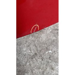 Porte Arriere Droit Renault Clio 3 Phase 2 (2)