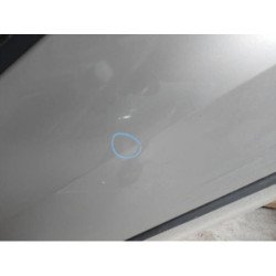 Porte Arriere Droit Renault Clio 3 Phase 2 Break (2)