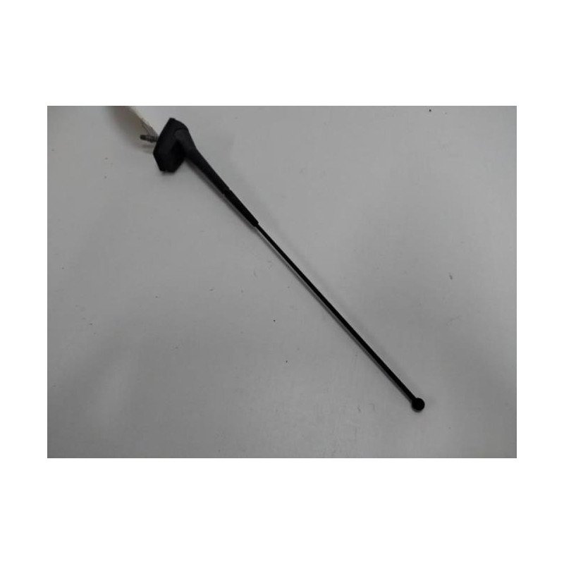 Antenne Renault Clio 3 Phase 2 Break (1)