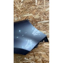 Aile Avant Droit Renault Modus Phase 1 (2)
