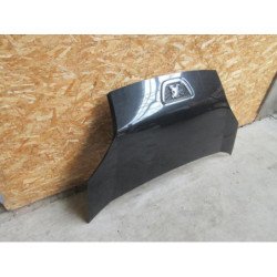 Capot Peugeot Bipper (3)