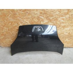 Capot Peugeot Bipper (4)