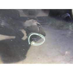 Porte Arriere Gauche Citroen C3 1 Phase 1 (4)