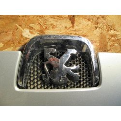 Capot Peugeot 407 Coupe (3)