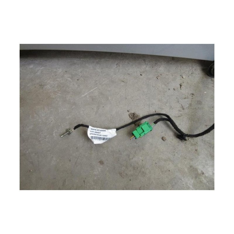 Malle/hayon Arriere Peugeot 407 Coupe (1)