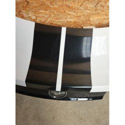 Malle/hayon Arriere Ford Mustang 7 Coupe (3)