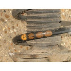 Amortisseur Avant Gauche Audi A3 2 Phase 1 (2)