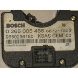 Capteur Citroen C4 Grand Picasso 1 (2)