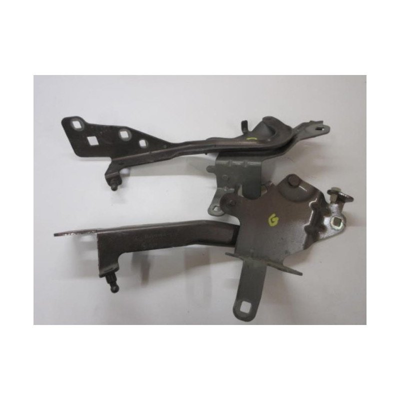 Charniere De Capot Renault Grand Scenic 3 Phase 1 (1)