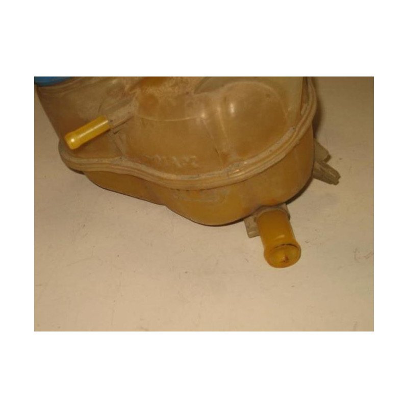 Vase D'expansion Fiat Punto Evo 3 (1)