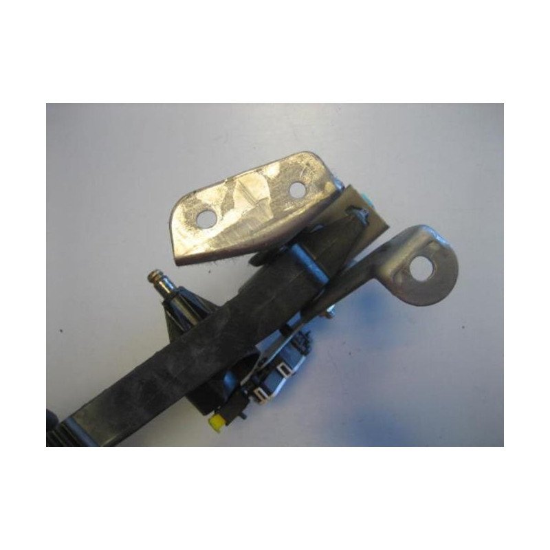 Pedale De Frein Renault Scenic 2 Phase 1 (1)