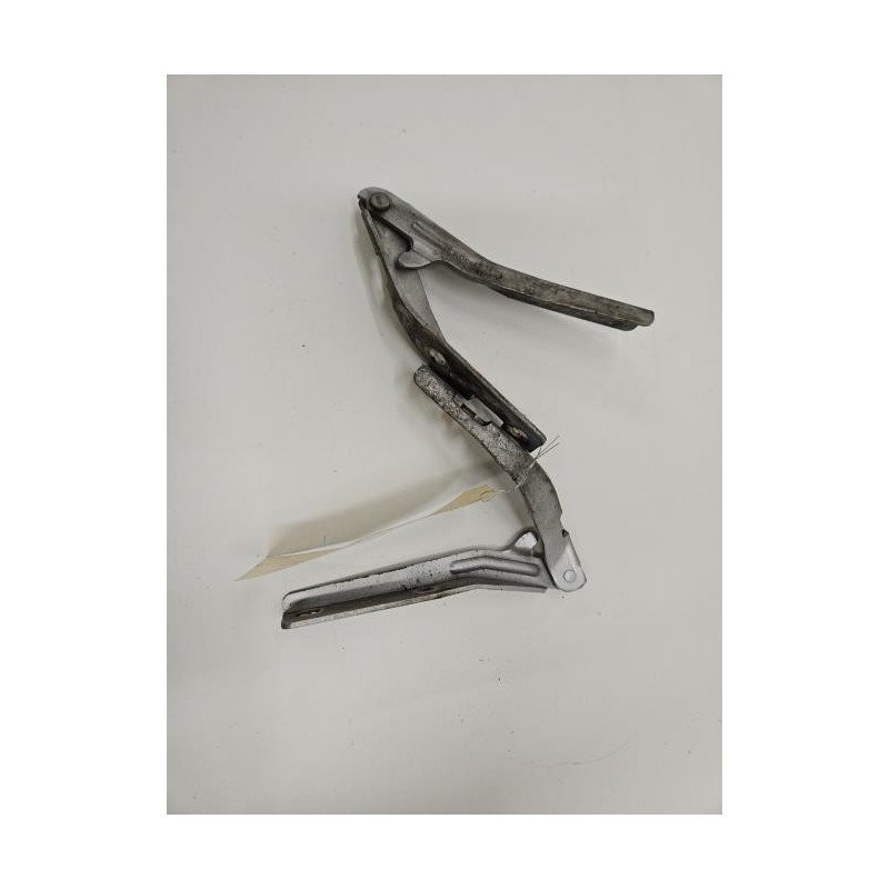 Charniere De Capot Peugeot 206 Phase 1 (1)