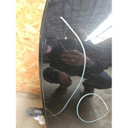 Porte Arriere Gauche Nissan Qashqai 1 Phase 2 (2)