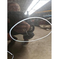 Porte Arriere Gauche Nissan Qashqai 1 Phase 2 (4)