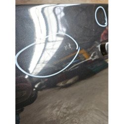 Porte Arriere Gauche Nissan Qashqai 1 Phase 2 (5)