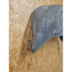 Pare Boue Arriere Droit Citroen Berlingo 2 Phase 3 (3)