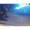 Porte Avant Droit Peugeot 308 1 Phase 1 (4)