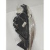 Optique Avant Principal Gauche (feux)(phare) Peugeot 807 (5)