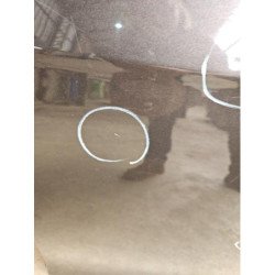 Porte Arriere Gauche Volkswagen Passat 5 Break (3)