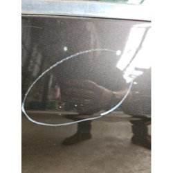 Porte Arriere Gauche Volkswagen Passat 5 Break (4)