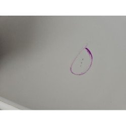 Porte Avant Droit Citroen C2 Phase 1 (10)