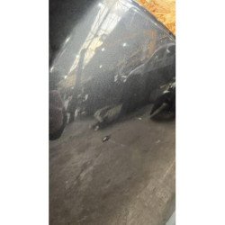 Porte Arriere Droit Renault Megane 3 Phase 1 (3)
