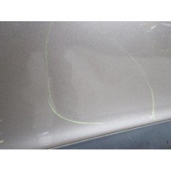 Porte Arriere Gauche Citroen C4 1 Phase 2 (3)