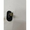 Repetiteur Clignotant Avant Droit  (feux) Opel Movano A Phase 1 (2)