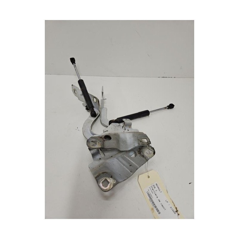 Charniere De Capot Renault Zoe 1 (1)