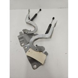 Charniere De Capot Renault Zoe 1 (2)