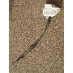 Serrure Avant Gauche Honda Civic 8 Phase 1 (1)