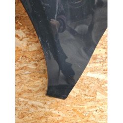 Aile Avant Gauche Volkswagen Fox (2)