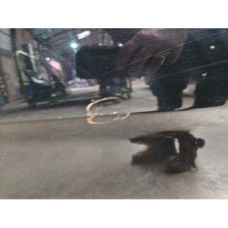 Porte Avant Droit Mercedes Classe B 245 Phase 2 (5)