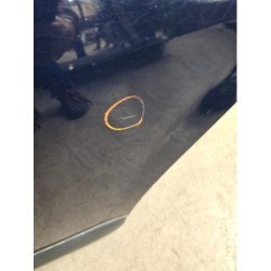 Porte Arriere Gauche Dacia Sandero 1 (5)