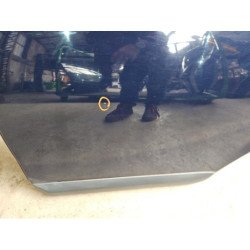 Porte Arriere Gauche Dacia Sandero 1 (7)